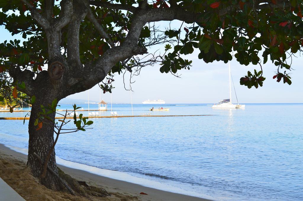 Kaz Kreol Beach Hotel Ocho Rios Ngoại thất bức ảnh