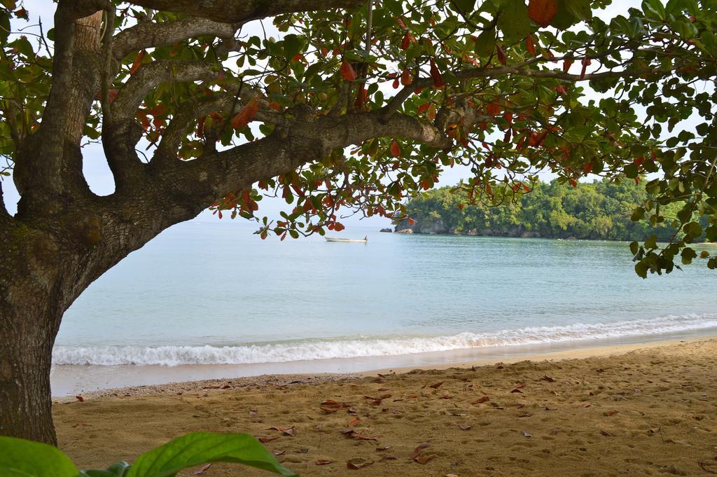 Kaz Kreol Beach Hotel Ocho Rios Ngoại thất bức ảnh