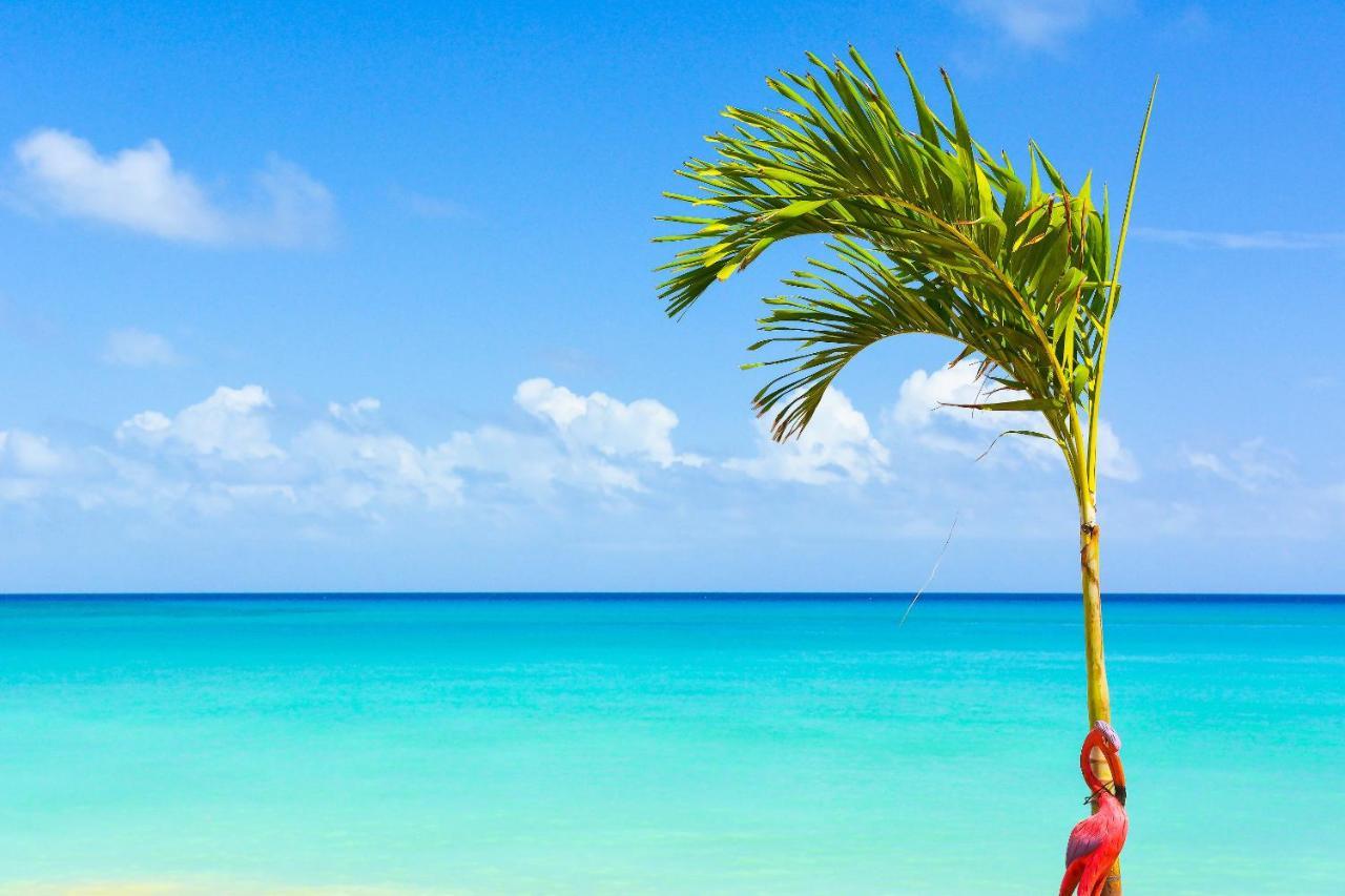Kaz Kreol Beach Hotel Ocho Rios Ngoại thất bức ảnh